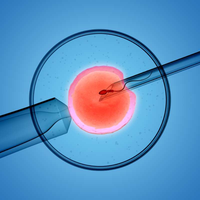 Comprendre la FIV avec don d'ovocytes