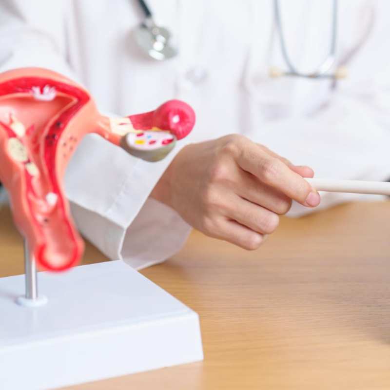 Protocoles de stimulation ovarienne contrôlée (SOC) : une approche personnalisée pour réussir