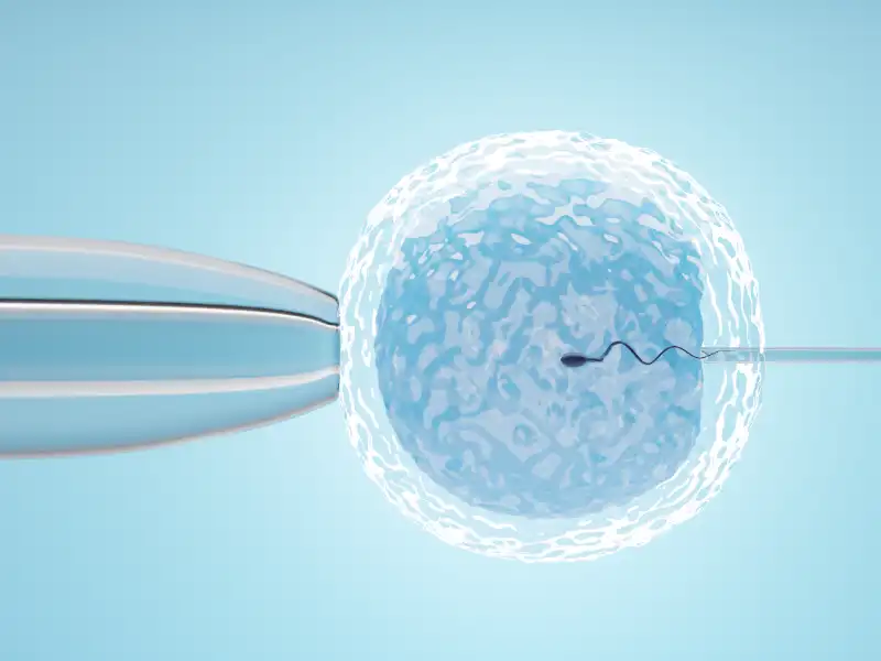 Les embryologistes : des spécialistes clés de la fécondation in vitro (FIV)