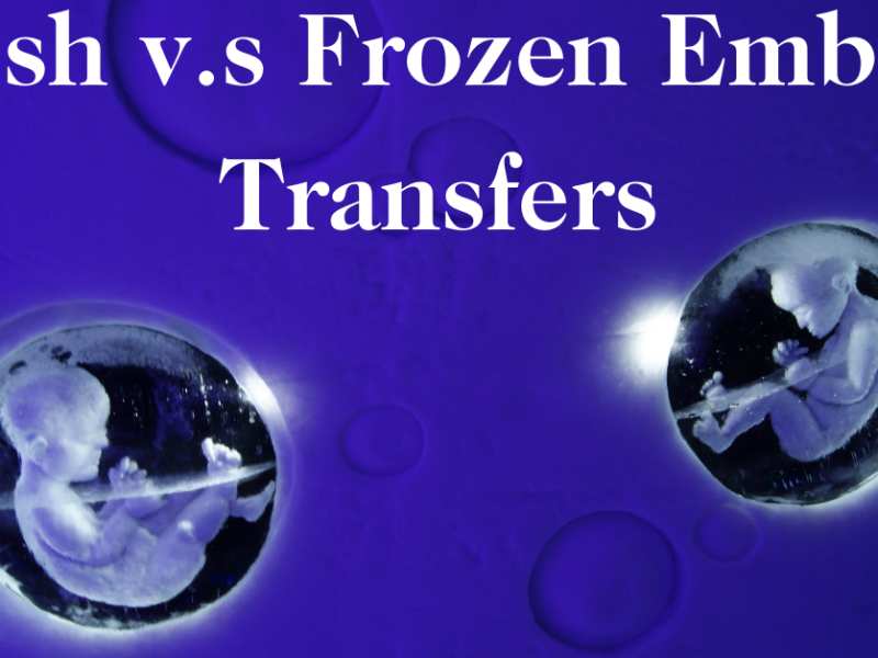 Transferència d'embrions frescos o congelats en FIV