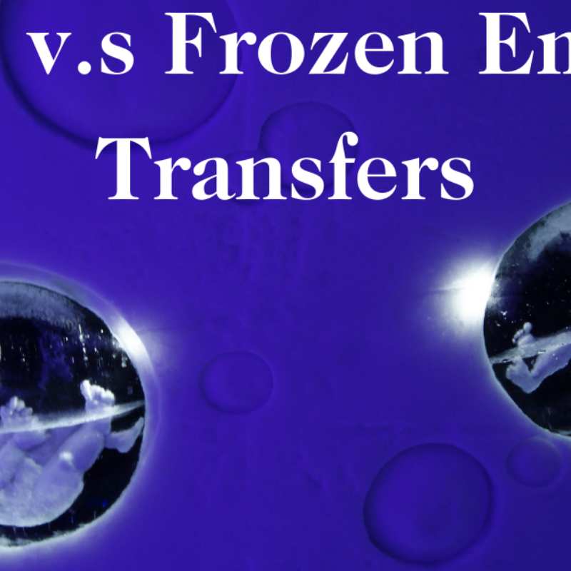 Transferencia de embriones frescos o congelados en FIV