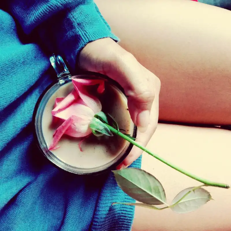 Hydrosalpinx: effect on women's reproductive function