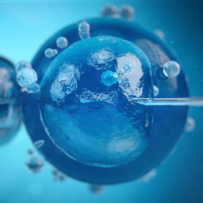 Enfocaments innovadors en medicina reproductiva: utilització d'exosomes i cèl·lules mare en el tractament de la infertilitat