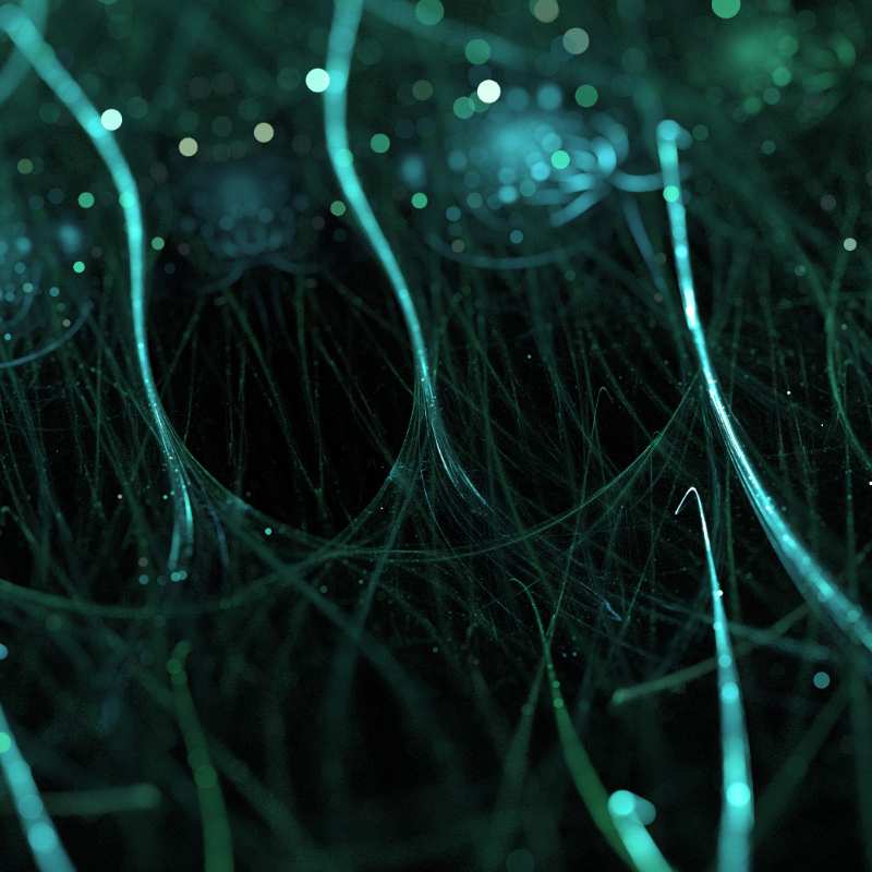 Restoring the function of KNDy neurons in the brain can overcome infertility