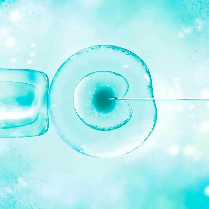 Modern methods of embryo selection in the context of IVF