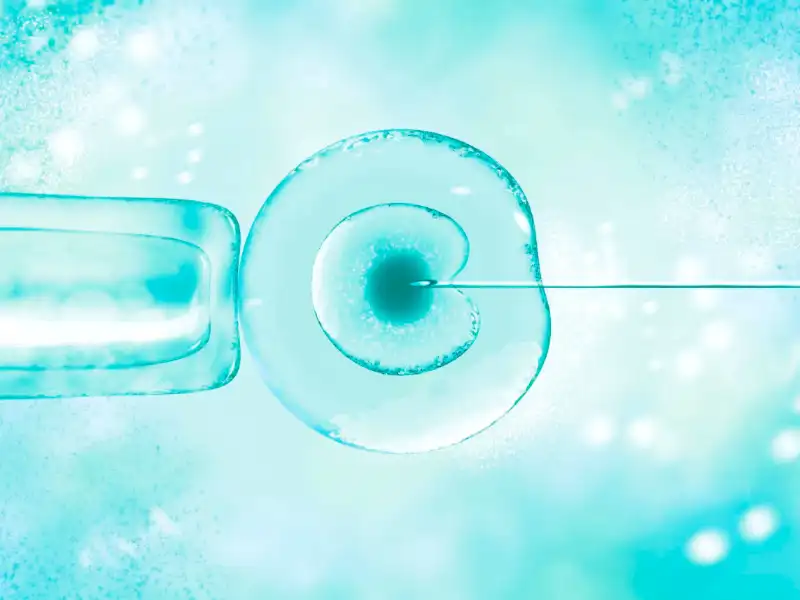 Glyph for Modern methods of embryo selection in the context of IVF