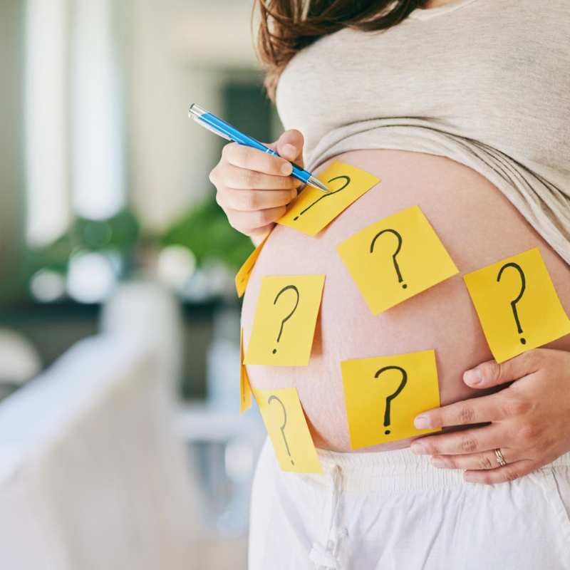 When does pregnancy begin?