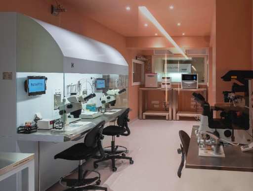 西班牙首个 100% 不含挥发性有机化合物的实验室。让您的胚胎更安全、更健康！