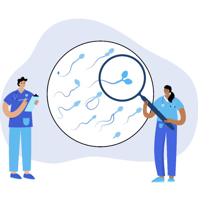 Espermograma i prova MAR: avis detallat per al pacient