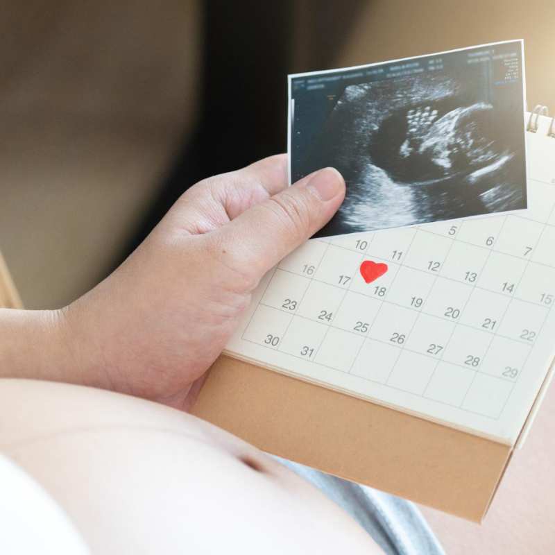 The best days  to conceive