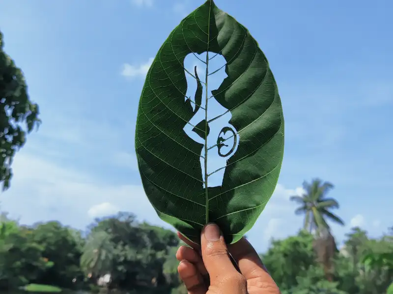 Glyph for The influence of the environment on fertility and the effectiveness of IVF